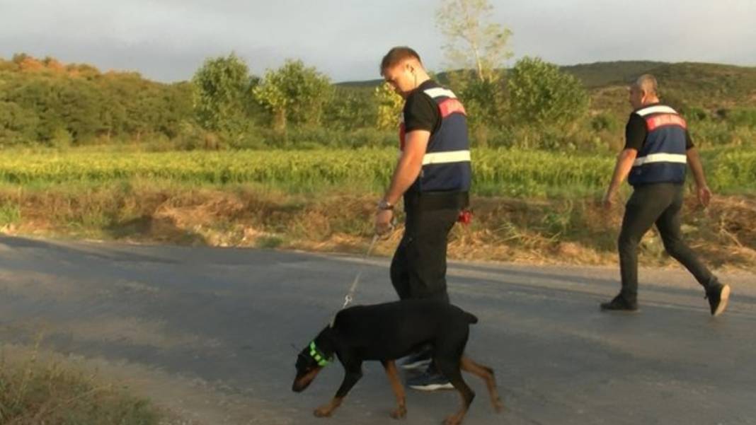 Berzeg'i arama çalışmalarında dikkat çeken detay! Köpeği her defasında eve döndü 6
